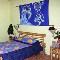 Cariblue Beach Jungle Resort2