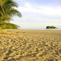 Cariblue Beach Jungle Resort1