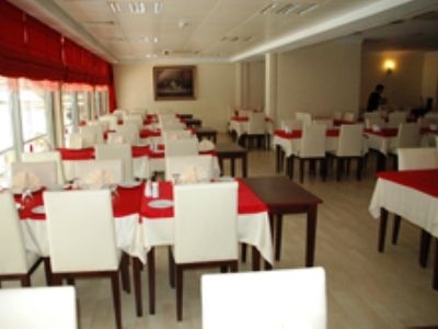 Yeni Koza1
