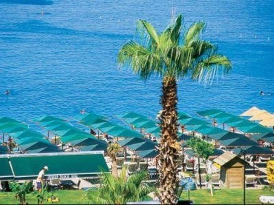 Dragos Beach1