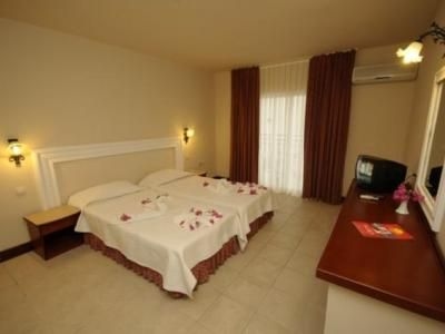Palmera3