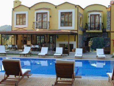 The Olive Tree Studios0