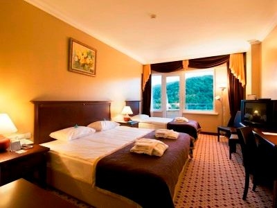 Thermalium Wellness Park Hotel And Spa4