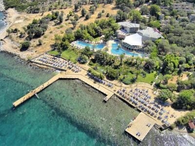 Cande Ora Tatil Koyu0