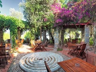 Cande Ora Tatil Koyu4