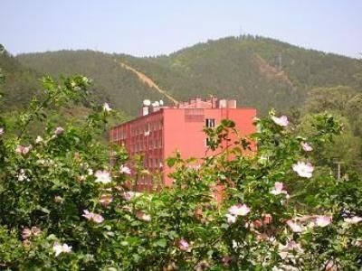 Erdilli Termal0
