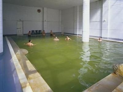 Erdilli Termal2