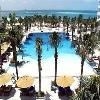 Grand Oasis Palm0