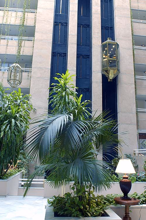 GRANADA CENTER3