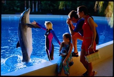 The Mirage Hotel & Casino1