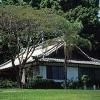 Camino Real Sumiya0