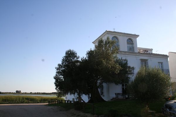 Hotel Toruno3