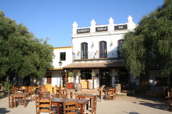 Hotel Toruno2