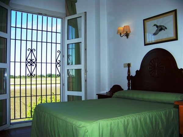 Hotel Toruno0