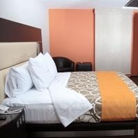 Nyt Roma Hotel Boutique Reforma4