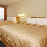 Comfort Inn (Std Queen)4