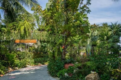 มัจฉา สมุย รีสอร์ต (MATCHA Samui Resort)3