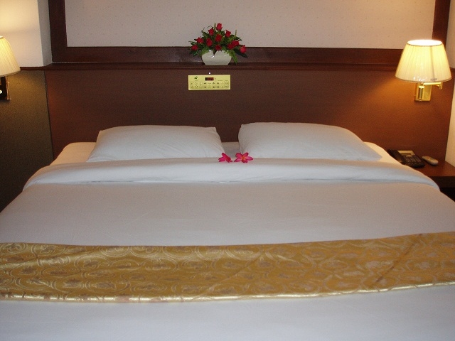 โรงแรมชัยนาทธานี (Chainat Thani Hotel)3