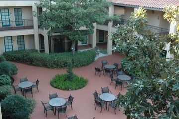 HOLIDAY INN HOTEL & SUITES TAMPA NEAR BUSCH GARDENS-USF4