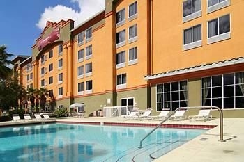 GALLERIA PALMS4
