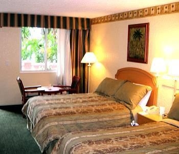 El Palacio Resort2
