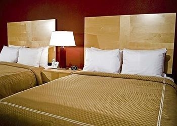 Comfort Suites Chicago1