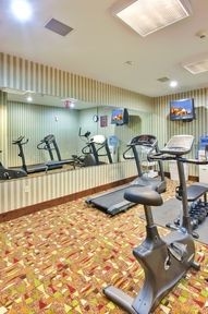 HOLIDAY INN EXPRESS HOTEL & SUITES SOUTHFIELD - DETROIT3