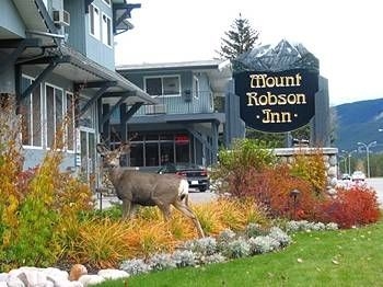 Mount Robson Inn - Standard4
