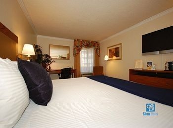 Best Western Airport Inn Suites4