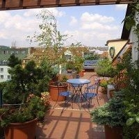 Orion Hotel2