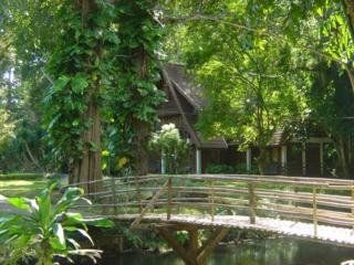 เชียงดาว ฮิลล์ รีสอร์ท (Chiang Dao Hill Resort)4