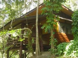 เชียงดาว ฮิลล์ รีสอร์ท (Chiang Dao Hill Resort)2