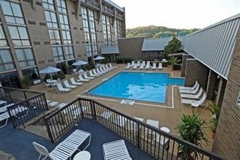 Radisson Green Tree1