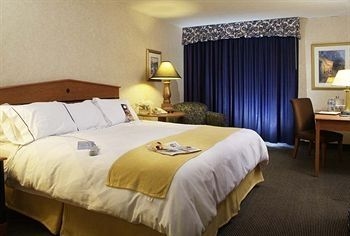 Radisson Green Tree3