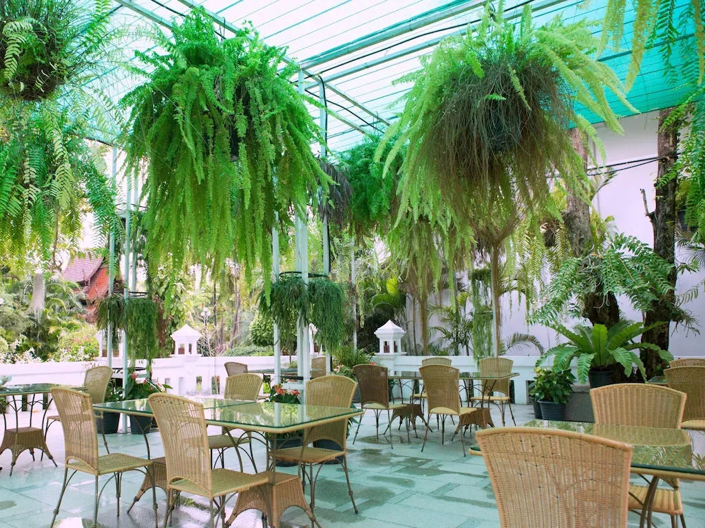 โรงแรมเชียงใหม่ พลาซ่า (Chiang Mai Plaza Hotel)3