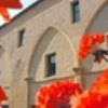 Best Western Hotel Le Dauphin Le Spa Du Prieure0