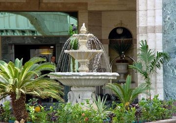 Golden Tulip0