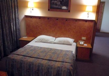 Golden Tulip3