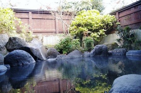 ยูฟูอิง ออนเซน ฮาซูวะ อินน์ (Yufuin Onsen Hasuwa Inn)4