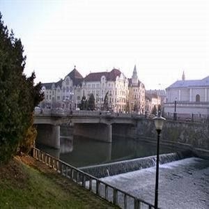VULTURUL NEGRU4