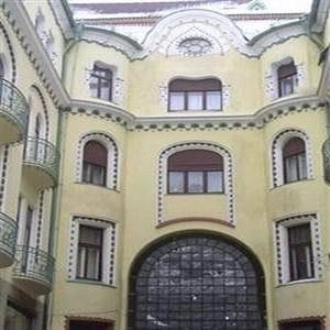 VULTURUL NEGRU0