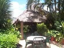 CARIBE INTERNACIONAL1
