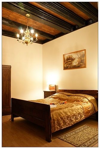 Camea1