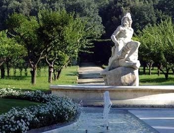 MIGLIO D ORO4