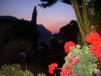 La Reginella0