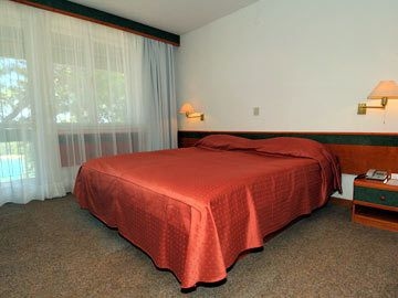 PINETA2