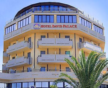 DAVID PALACE0
