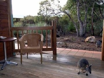 Ki Wilderness Retreat2