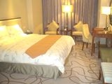 Galactic Peace International Hotel1