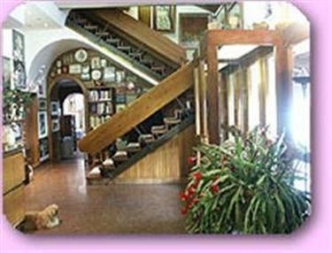 Hotel Albion0